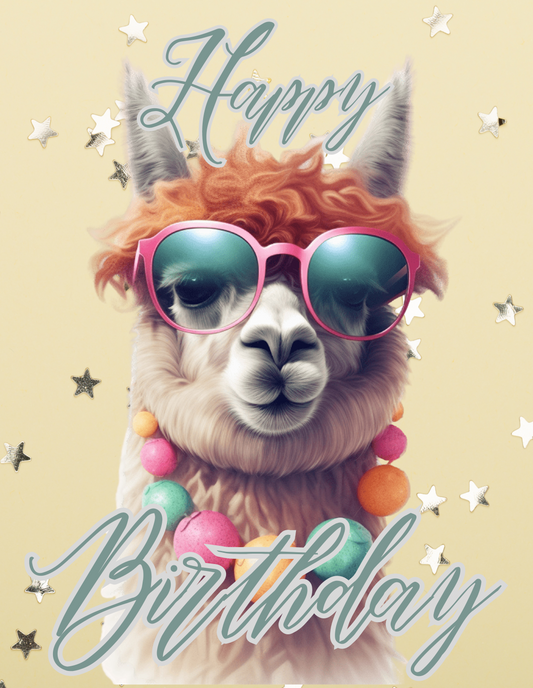 Aplaca Birthday Cards (x5)