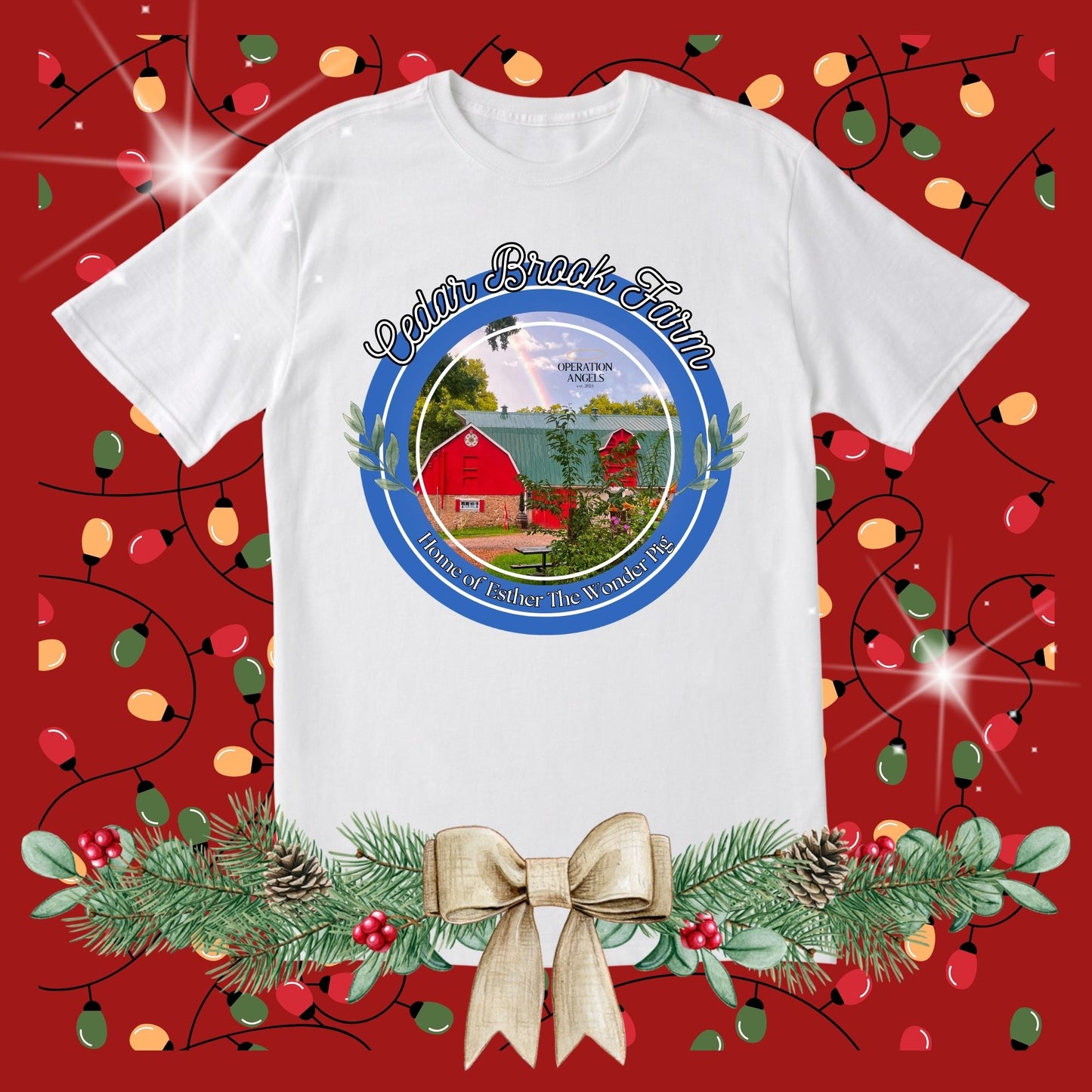 12 Days of Christmas box