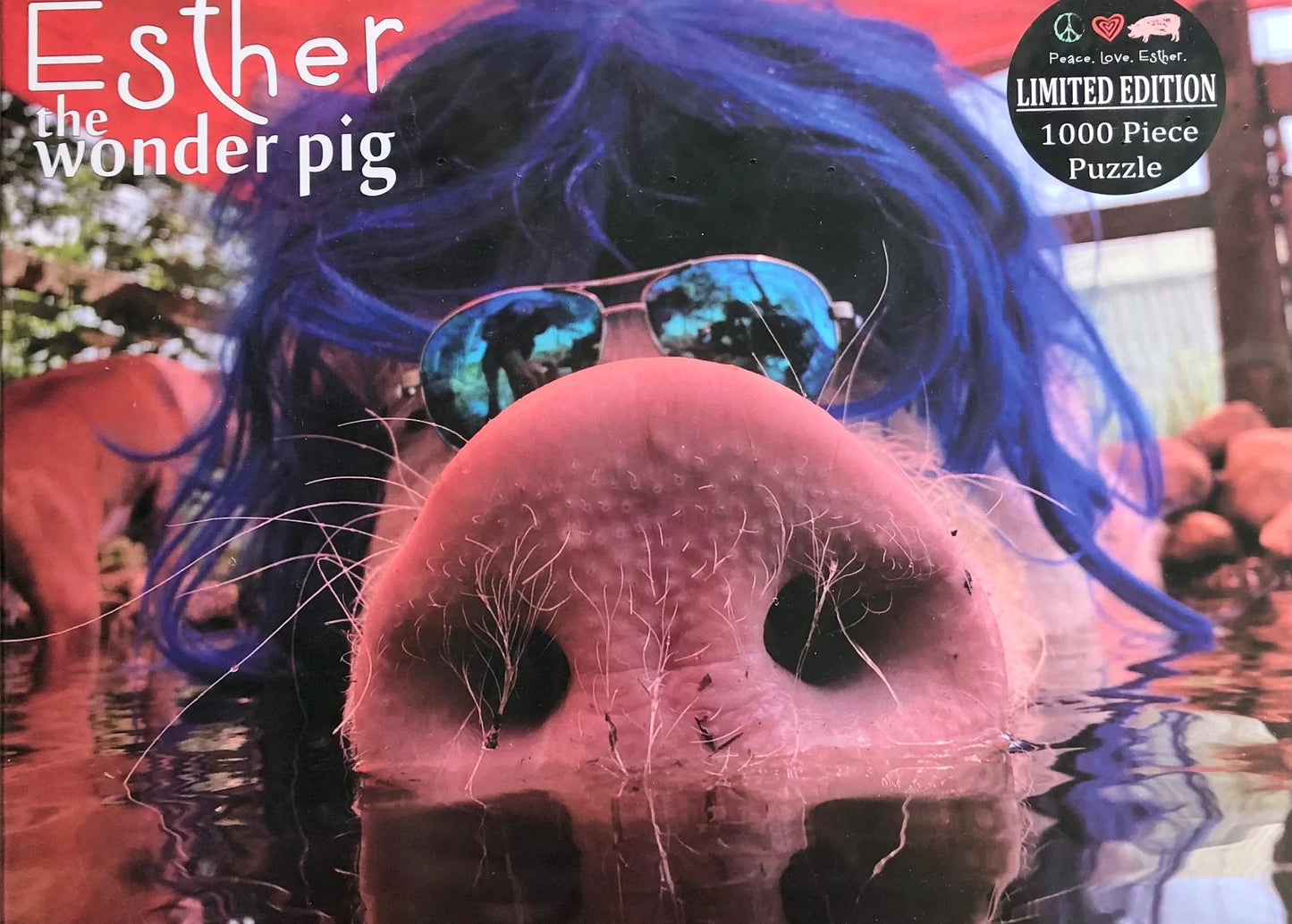 ETWP- Puzzle - Purple Hair Dont Care!