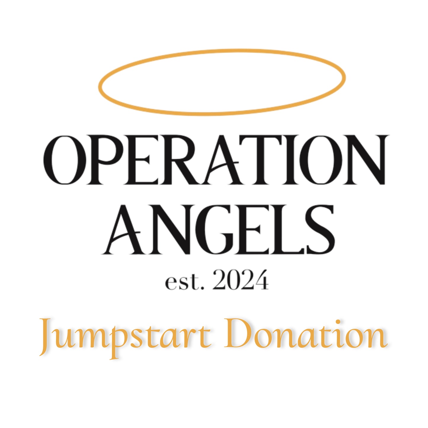 Operation Angels Jumpstart Donation