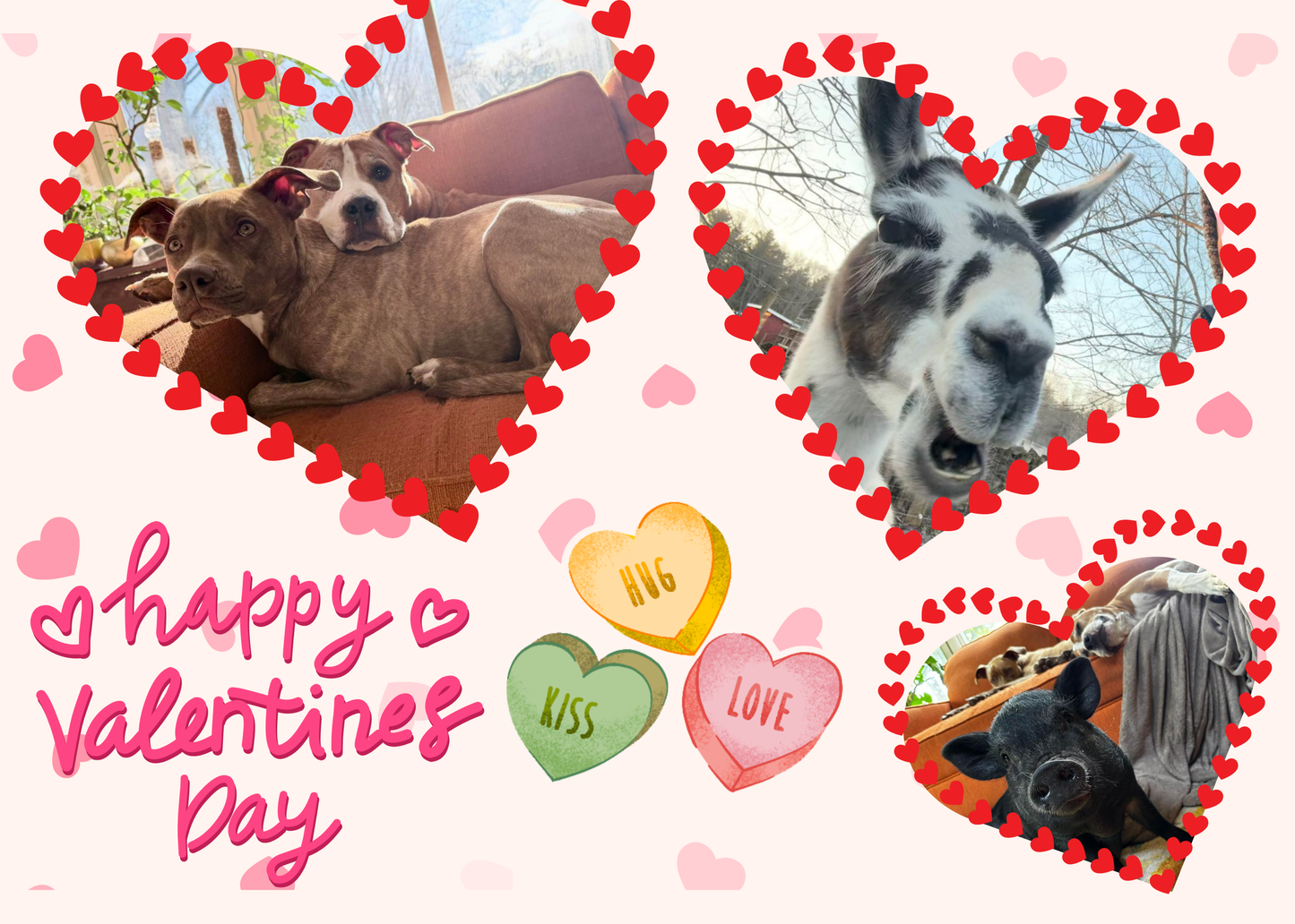 Valentines Day Card & Bouquet - Gift set