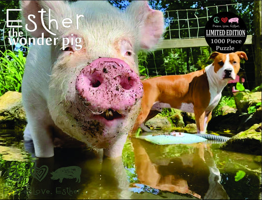 ETWP- Puzzle - Pool Party with Phil!