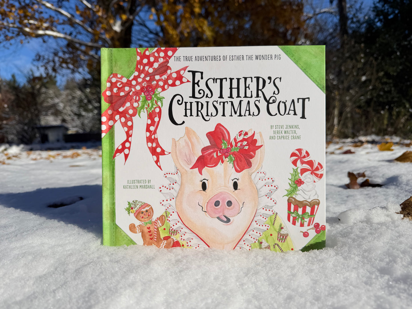 Esther’s Christmas Coat