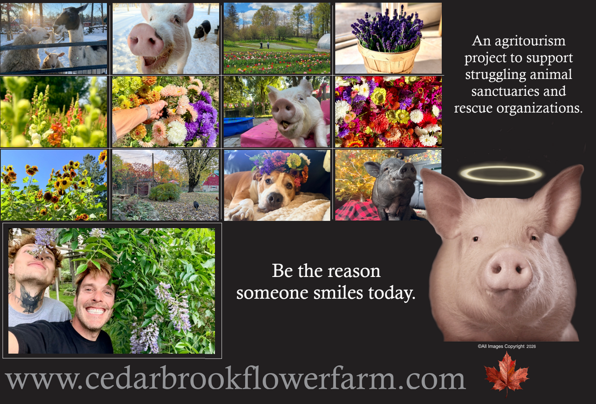 Cedar Brook  Flower Farm 2027 Calendar