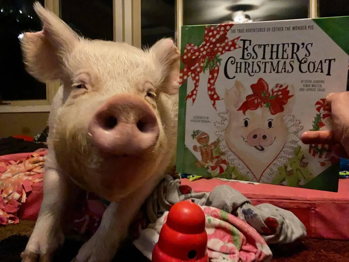 ETWP - Christmas Coat- Hardcover Book